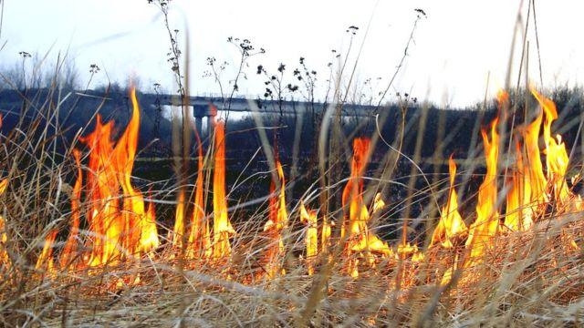 ​Ахтубинцам напоминают о правилах сжигания сухой растительности