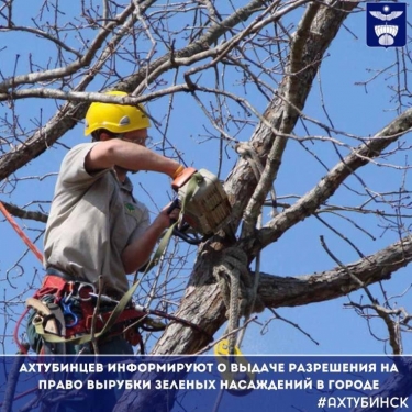 ​Ахтубинцев информируют о выдаче разрешения на право вырубки зеленых насаждений в городе