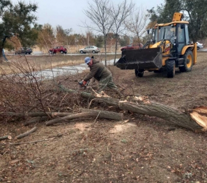 ​Работы по подготовке парков, скверов, пешеходных зон к зимнему периоду продолжаются.