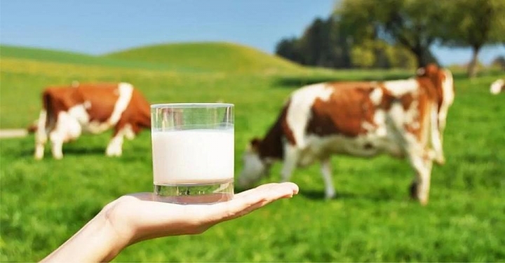 ​Ахтубинцев просят внимательно отнестись к покупке молочных продуктов