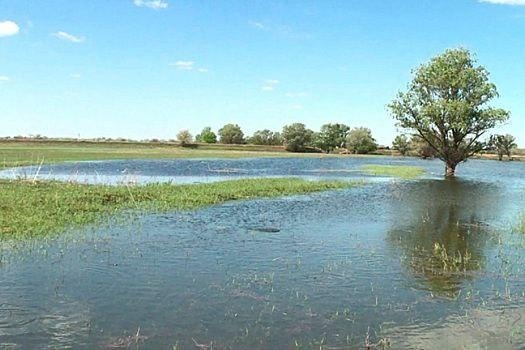 ​В Астраханской области специалисты принимают комплекс мер для обеспечения благоприятного прохождения весеннего паводка