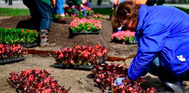 Ахтубинск в цвете - в рамках продолжения благоустройства администрацией города ведется масштабная высадка цветов